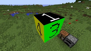 Блок с разностороней текстурой в игре.jpg